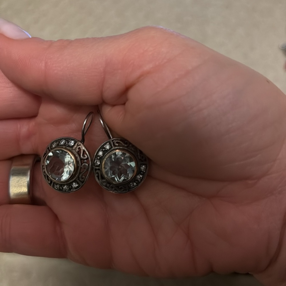 Elegant Silver and Gold Earrings